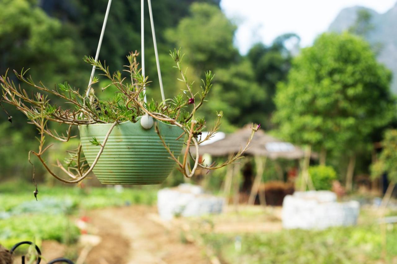 Nirvana Organic Farm Inn Яншуо Екстер'єр фото
