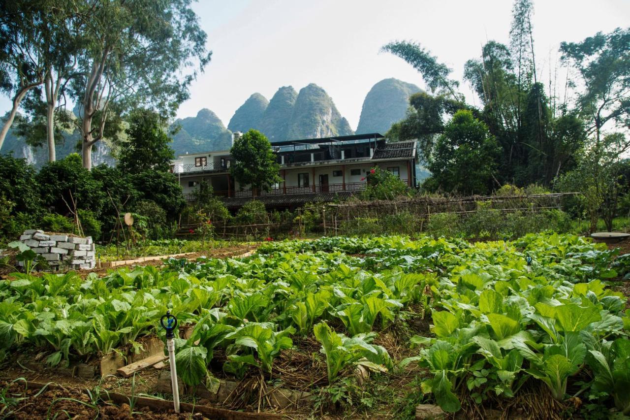 Nirvana Organic Farm Inn Яншуо Екстер'єр фото