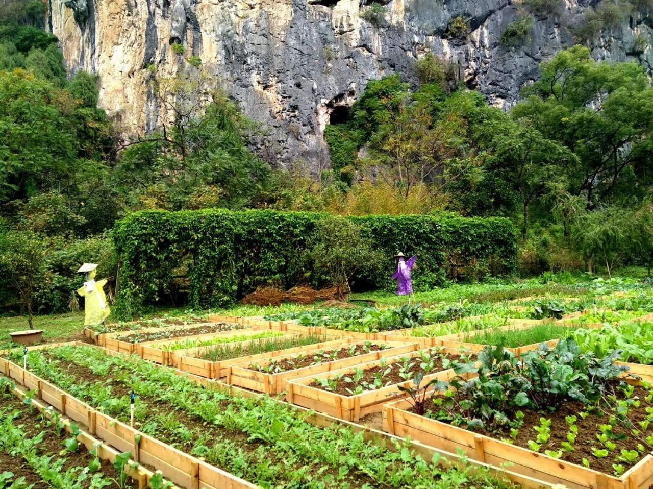 Nirvana Organic Farm Inn Яншуо Екстер'єр фото